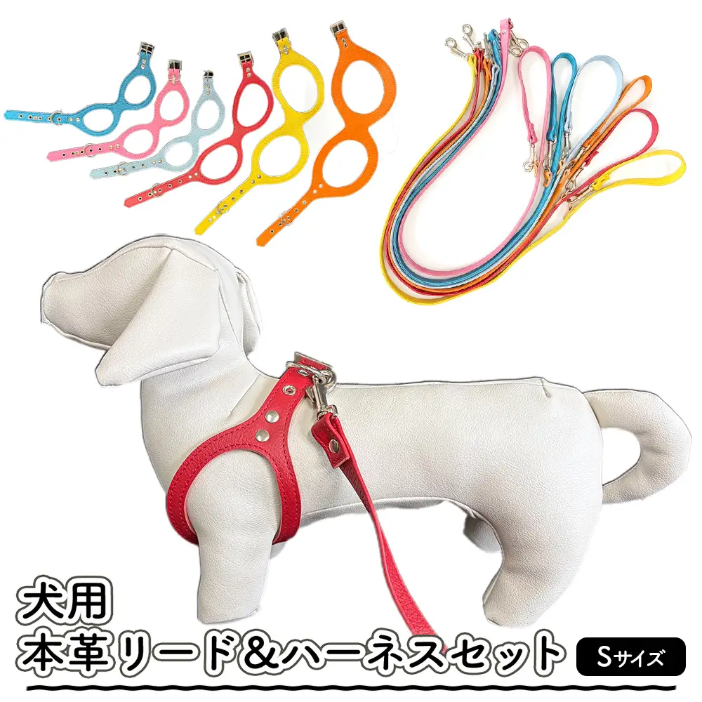 犬用・本革リード、ハーネスセット Sサイズ | リード ハーネス セット
