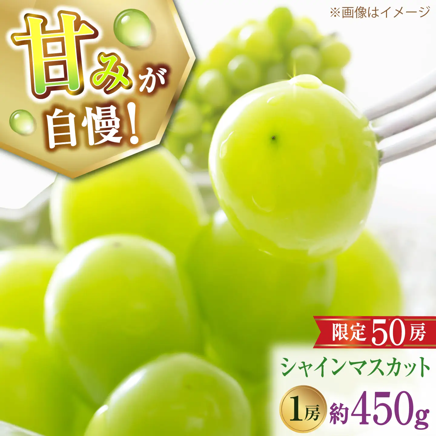 【先行予約】【50個限定】【2026年8月下旬以降順次発送】 【ご家庭用】シャインマスカット1房 島根県雲南市/なばらファーム[AIEU001]