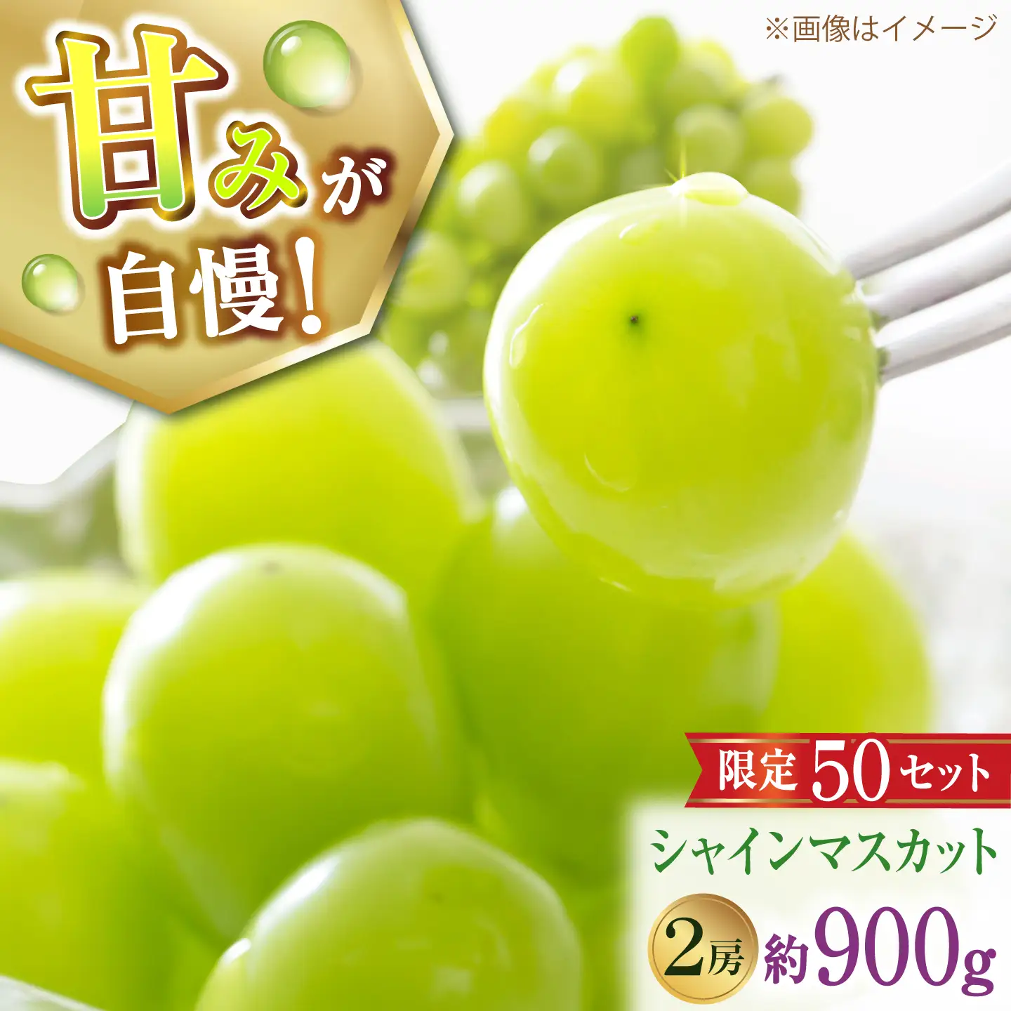 【先行予約】【50個限定】【2026年8月下旬以降順次発送】 【ご家庭用】シャインマスカット2房 島根県雲南市/なばらファーム[AIEU002]