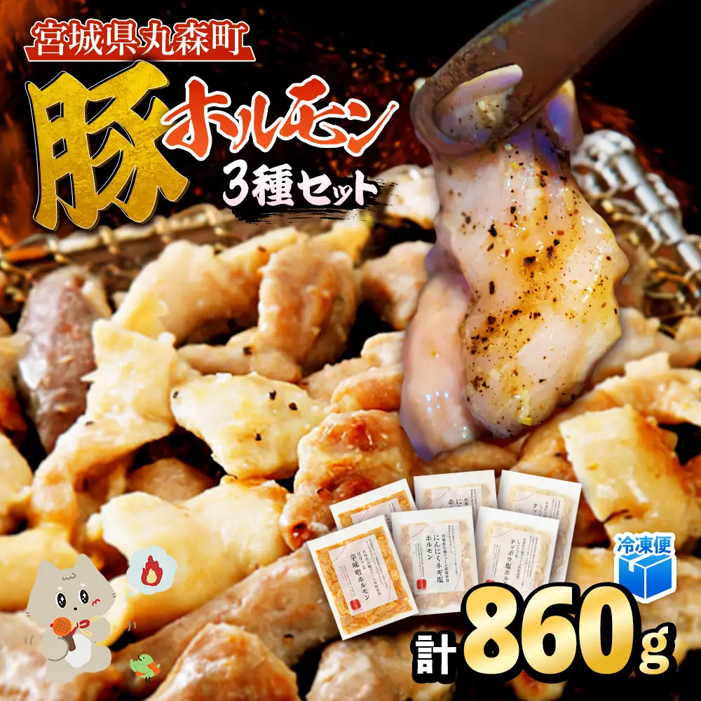 【古今東北】 丸森町大槻ファーム 豚ホルモン3種セット(計860g）【30102】
