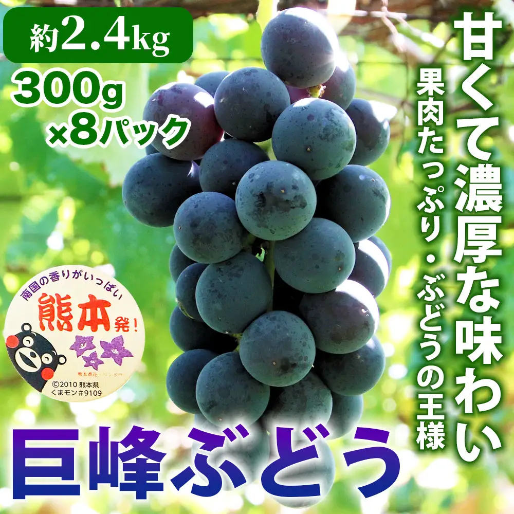 先行予約 巨峰  約2.4㎏(8パック)【2026年7月下旬～2026年8月下旬配送予定】