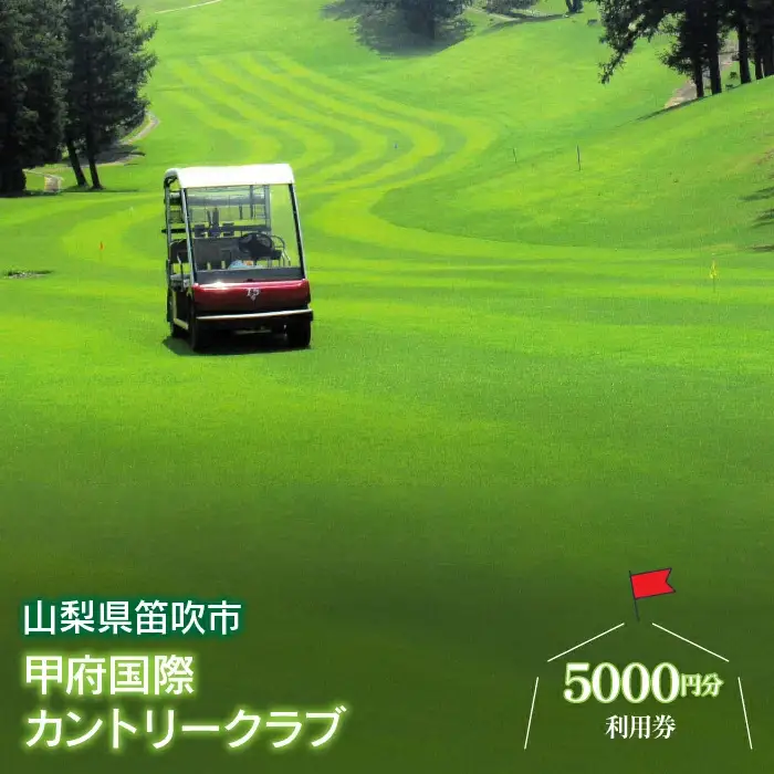 ゴルフ優待プレー補助利用券(甲府国際カントリークラブ)5000円分 007-001