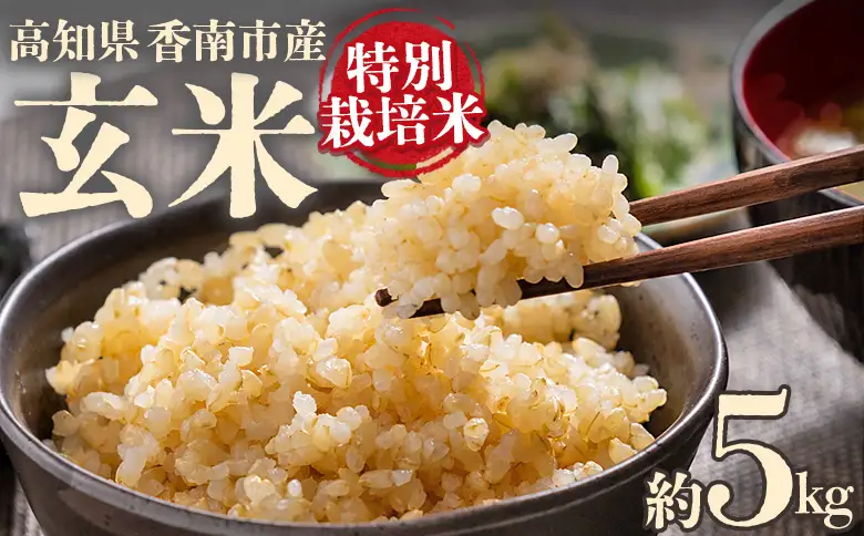 令和８年度産 玄米（特別栽培米）5kg ka-0001
