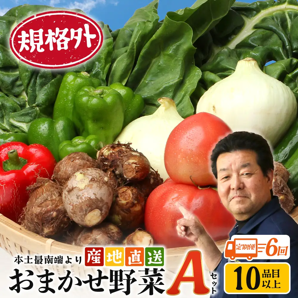 【定期便全6回】【規格外】本土最南端から 旬のおまかせ野菜セットA 10品目以上 NI-5 ｜ 旬 野菜 やさい 果物 くだもの 産地直送 農産物 冷蔵 鹿児島県 南大隅町産 詰合せ おまかせ 家庭用 訳あり なんたん市場