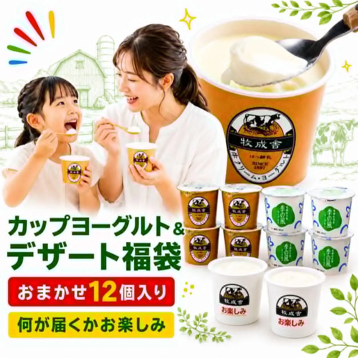 訳ありヨーグルト福袋 牧成舎 福袋 [Q3242]