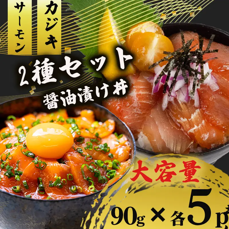 2種 醤油 漬け丼 90g×各5パック サーモン カジキマグロ