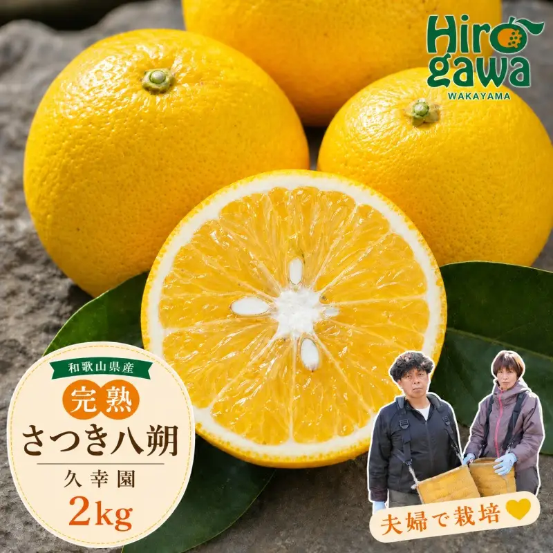 完熟 さつき 八朔 2kg / はっさく 甘い 和歌山 柑橘 ※2027年4月上旬～5月上旬頃に順次発送予定 【hsk022-r-2】