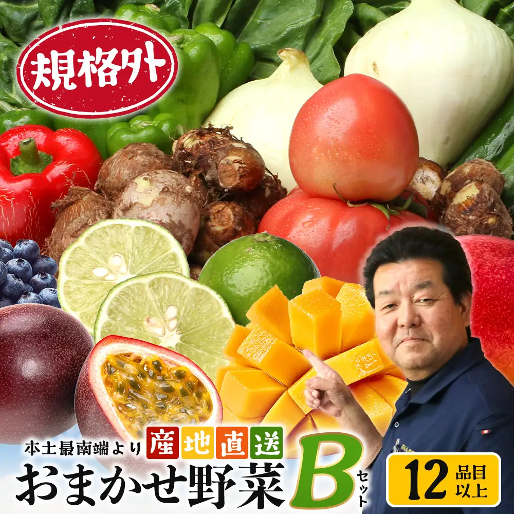【規格外】本土最南端から 旬のおまかせ野菜セットB 12品目以上 NI-6｜ 旬 野菜 やさい 果物 くだもの 産地直送 農産物 冷蔵 鹿児島県 南大隅町産 詰合せ おまかせ 家庭用 訳あり なんたん市場