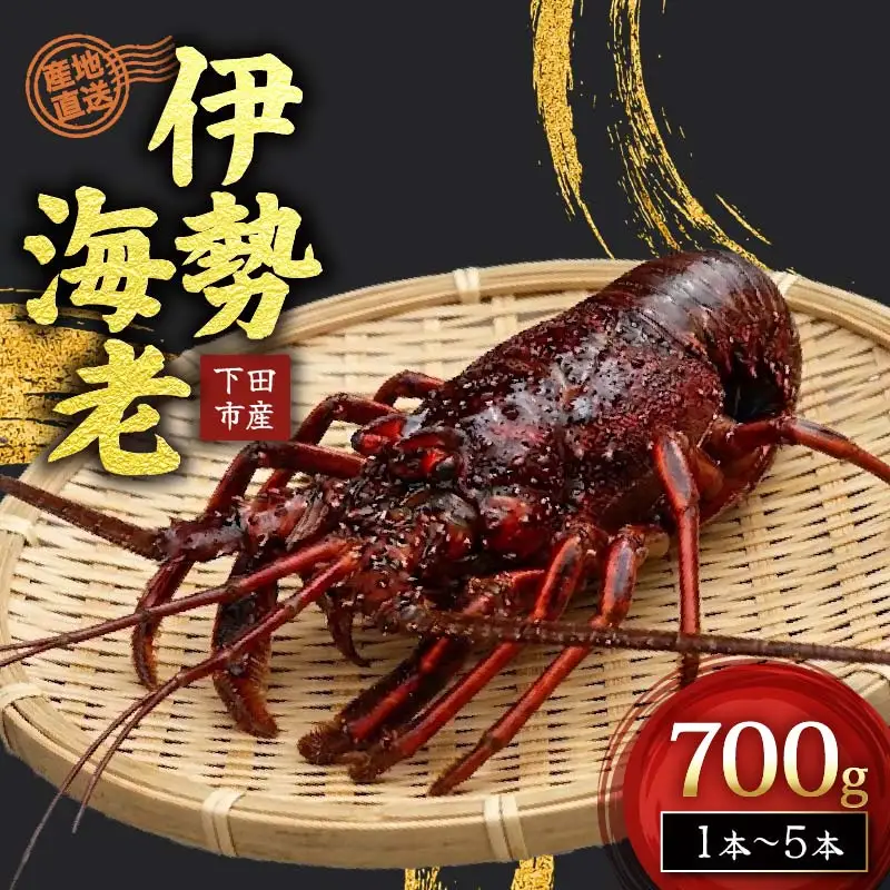 【 伊勢海老 】天然伊勢海老 700g
