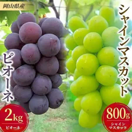 【発送月固定定期便】ぶどうのセット(ピオーネ2kg・シャインマスカット1房)全2回【配送不可地域：離島】【4086730】