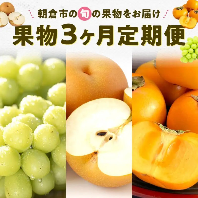果物 3ヶ月 定期便 先行予約 2026年8月より順次発送 (シャインマスカット、梨、柿) フルーツ 3回 ※配送不可：離島