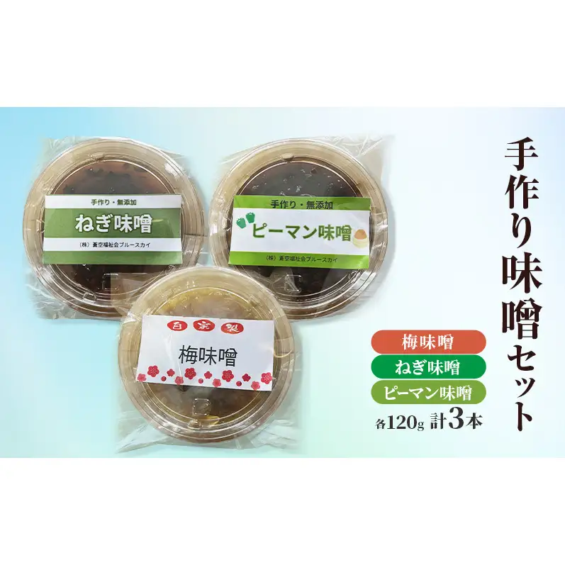 手作り味噌セット 梅 ねぎ ピーマン 各120g 味噌 みそ セット