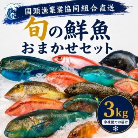 【国頭漁業協同組合直送】旬の鮮魚おまかせセット 3kg(4～8種類)【配送不可地域：離島】【1738197】