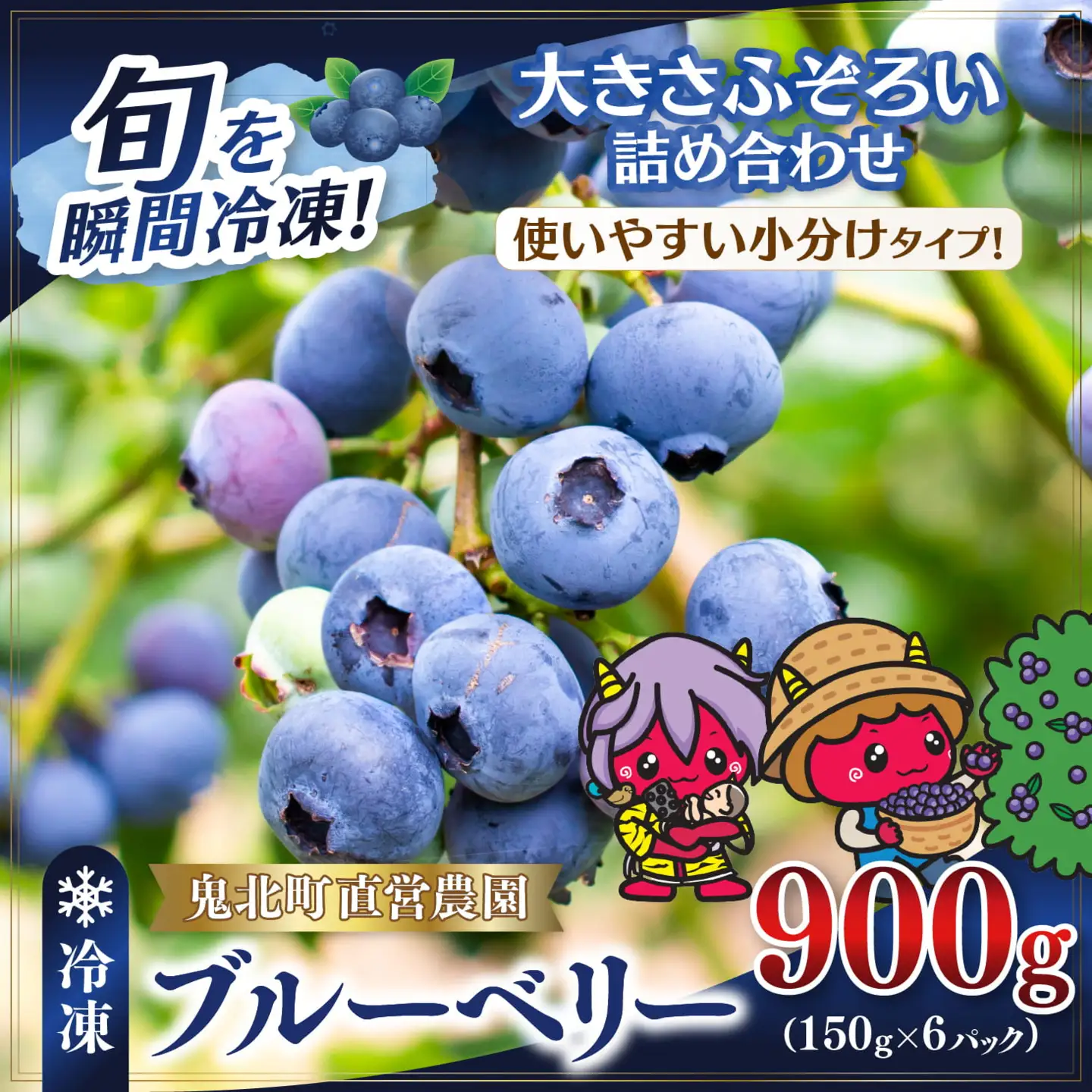 【先行予約】【大きさ形ふぞろい】冷凍ブルーベリー900g（150g×6P） | 無選別 不揃い 国産 個包装 小分け 冷凍 鬼北町直営農園 果実 フルーツ 果物 くだもの 朝食 ヨーグルト　鬼北町役場 日吉支所 愛媛県 ※2026年8月～発送