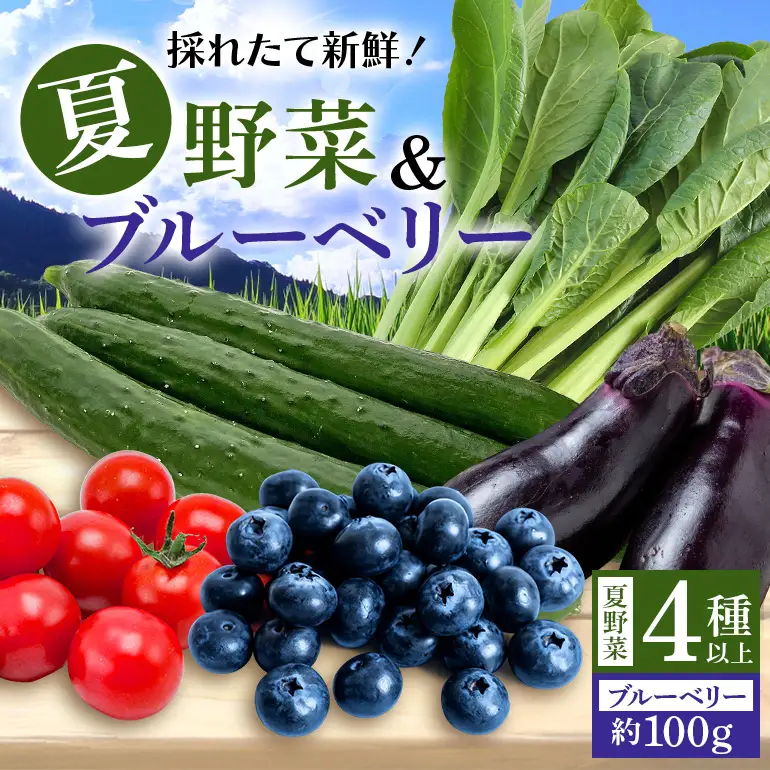 【数量限定・先行予約】小美玉産ブルーベリー＆野菜4種類以上セット(夏) ブルーベリー 夏野菜 茨城県 小美玉市 93-F