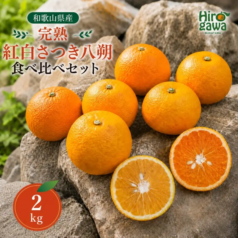 完熟 紅白 さつき 八朔 食べ比べ セット 2kg 6000円 久幸園  /  紅八朔 さつき八朔 はっさく 樹上完熟 完熟 木成り 柑橘 果物 くだもの フルーツ みかん 和歌山 有田 広川町 ※2027年4月上旬〜5月上旬頃に順次発送予定  //hassaku 【hsk022-mix-2】