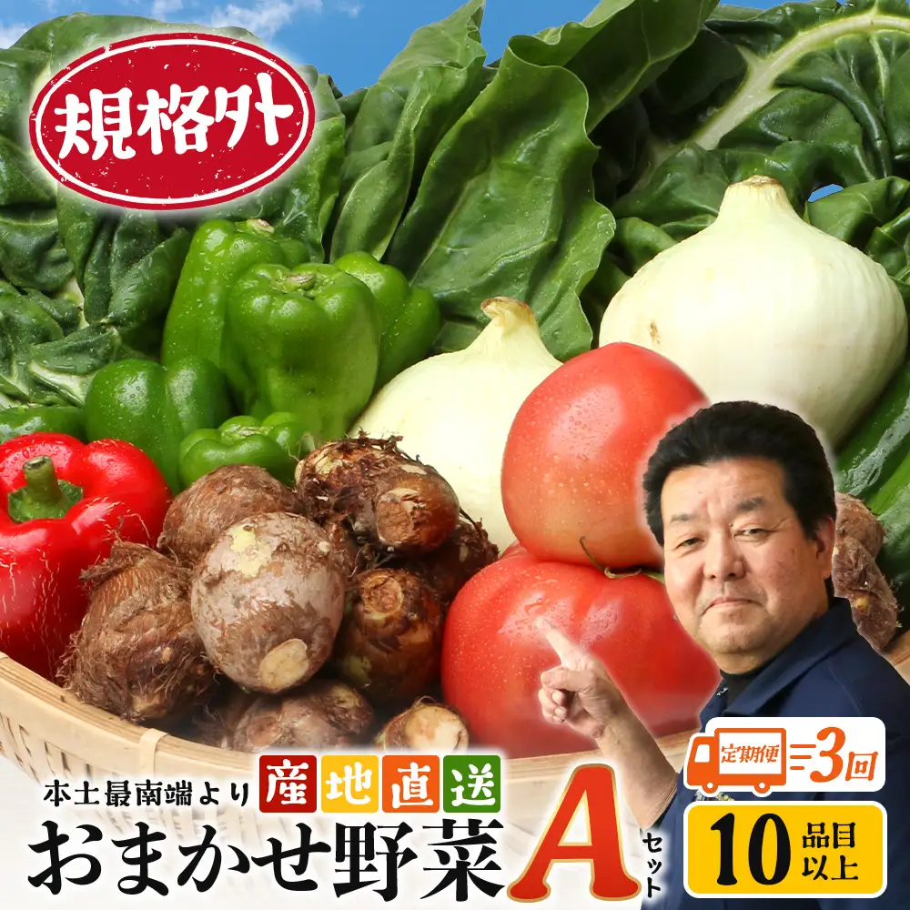 【定期便全3回】【規格外】本土最南端から 旬のおまかせ野菜セットA 10品目以上 NI-4 ｜ 旬 野菜 やさい 果物 くだもの 産地直送 農産物 冷蔵 鹿児島県 南大隅町産 詰合せ おまかせ 家庭用 訳あり なんたん市場
