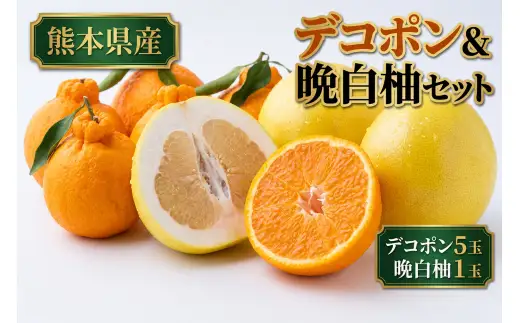 デコポン5玉 ＆ 晩白柚1玉 セット くだもの 果物 フルーツ 甘み 国産 熊本県産 果実 果汁 果肉 デコポン 晩白柚 柑橘 大玉 【 2026年12月上旬発送開始 】