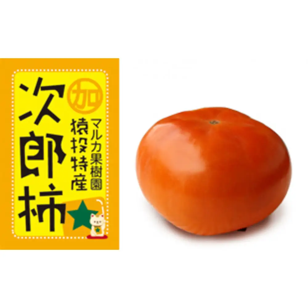＜先行受付＞次郎柿　約4.6kg【2026年10月下旬以降順次発送】