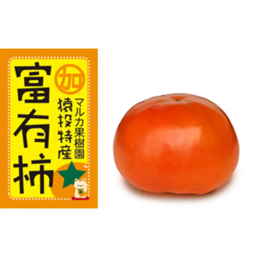 ＜先行受付＞富有柿　約4.6kg【2026年11月上旬以降順次発送】