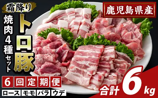 K-379-E ＜6回定期便＞鹿児島県産霜降りトロ豚 焼肉用バラエティセット(合計6kg)【ふるさと産直バザール】霧島市 ロース バラ ウデ モモ 焼き肉 ヤキニク 豚肉 国産 鹿児島県産 肉 精肉 小分け セット 食べ比べ 定期便