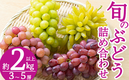 B-050 ＜先行予約受付中！2026年8月中旬～9月下旬の間に発送予定＞旬のぶどう詰め合わせ3～5房(約2kg以上)【さくら農園】ぶどう 食べ比べ シャインマスカット 瀬戸ジャイアンツ フルーツ 果物 期間限定