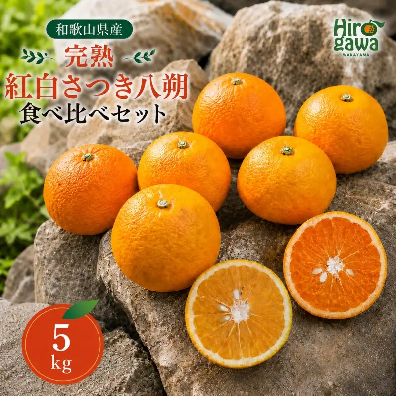 完熟 紅白 さつき 八朔 食べ比べ セット 5kg 10000円 久幸園  /  紅八朔 さつき八朔 はっさく 樹上完熟 完熟 木成り 柑橘 果物 くだもの フルーツ みかん 和歌山 有田 広川町 ※2027年4月上旬〜5月上旬頃に順次発送予定  //hassaku 【hsk022-mix-5】