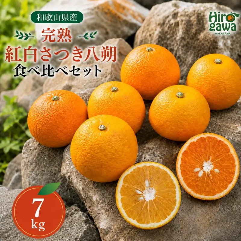 完熟 紅白 さつき 八朔 食べ比べ セット 7kg 13000円 久幸園  /  紅八朔 さつき八朔 はっさく 樹上完熟 完熟 木成り 柑橘 果物 くだもの フルーツ みかん 和歌山 有田 広川町 ※2027年4月上旬〜5月上旬頃に順次発送予定  //hassaku 【hsk022-mix-7】