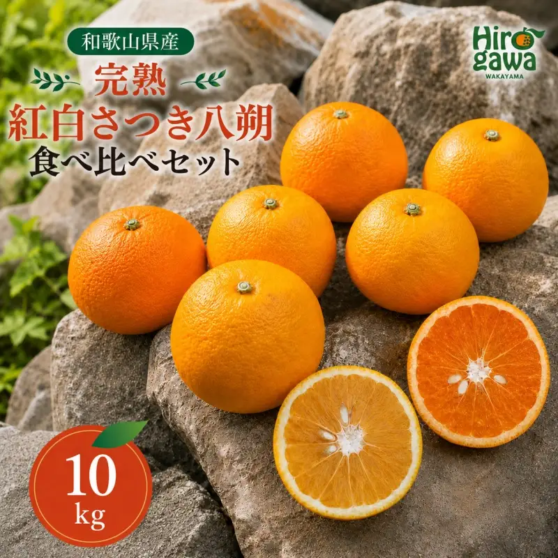 完熟 紅白 さつき 八朔 食べ比べ セット 10kg 17000円 久幸園  /  紅八朔 さつき八朔 はっさく 樹上完熟 完熟 木成り 柑橘 果物 くだもの フルーツ みかん 和歌山 有田 広川町 ※2027年4月上旬〜5月上旬頃に順次発送予定  //hassaku 【hsk022-mix-10】