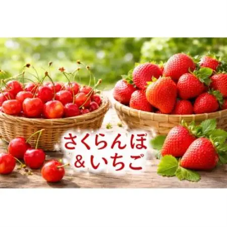 【発送月固定定期便】長野の果物 いちご+さくらんぼ　全2回【配送不可地域：離島】【4085408】