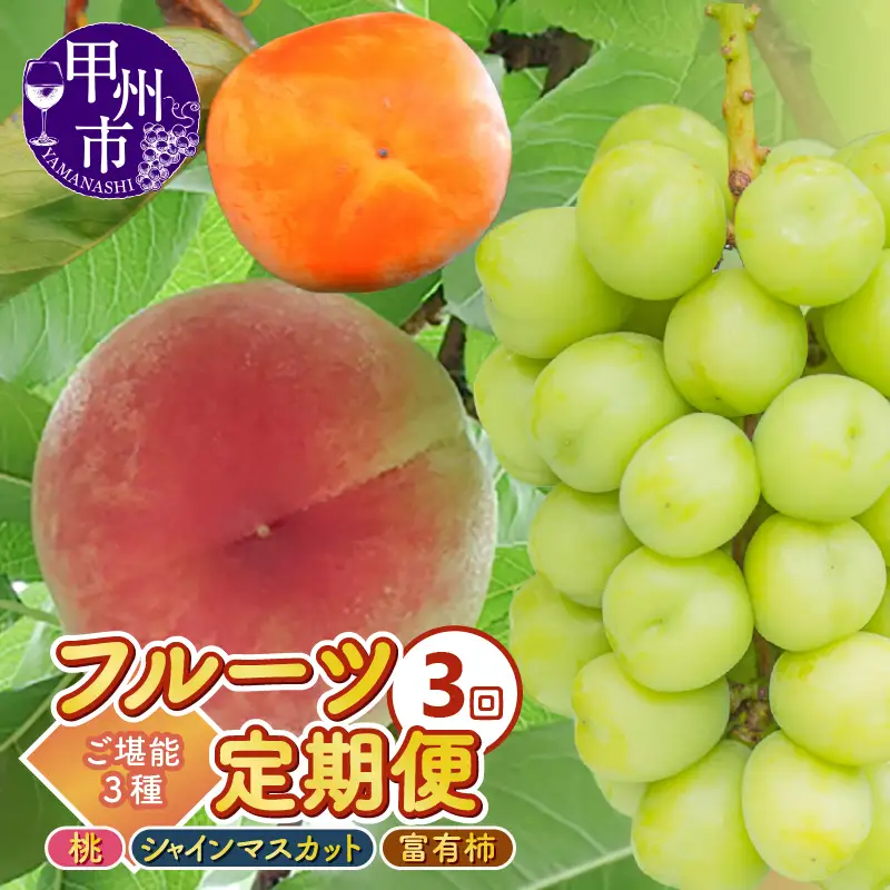 【定期便】3回フルーツ定期 桃約2.0kg（5～8玉）シャインマスカット約1.0kg（2房）富有柿約2.5kg（9～12個）ご堪能3種セット【2026年発送】（KKK）C8-830 桃 シャインマスカット フルーツ