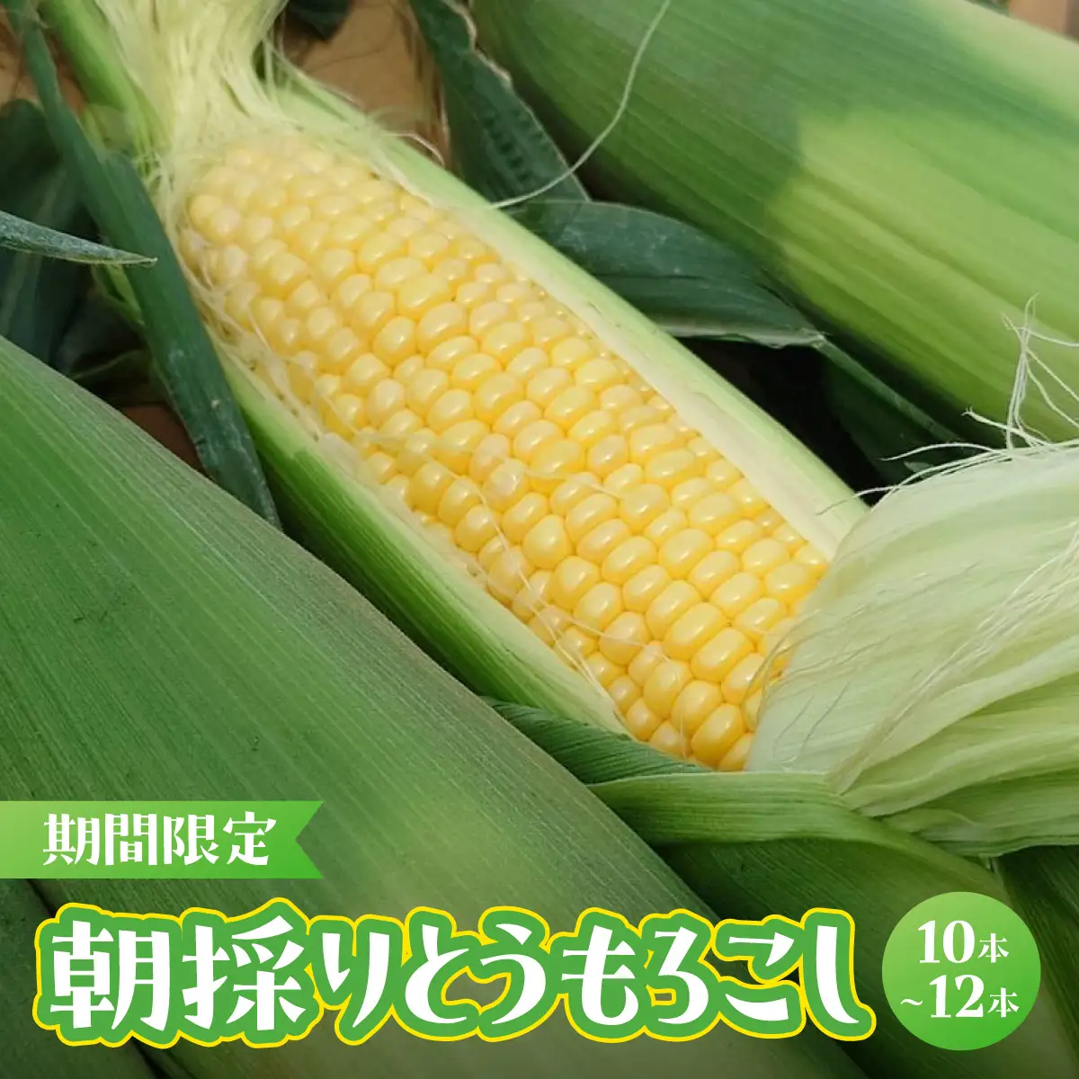 【期間限定】朝採りとうもろこし（10～12本）MBBD001