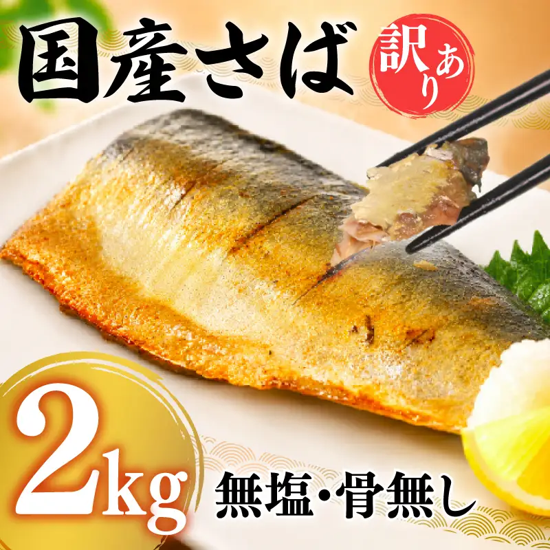 【7営業日以内発送】 訳あり さば フィーレ 2kg さば NV