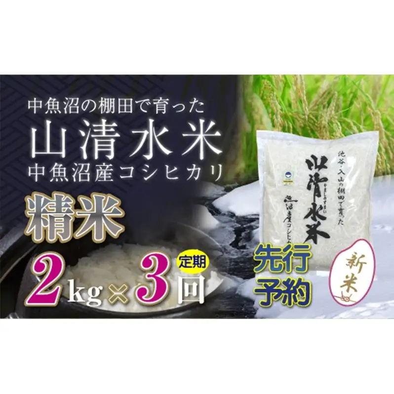 【令和8年産 先行予約】【定期便／全3回】精米2kg 新潟県魚沼産コシヒカリ「山清水米」 お米