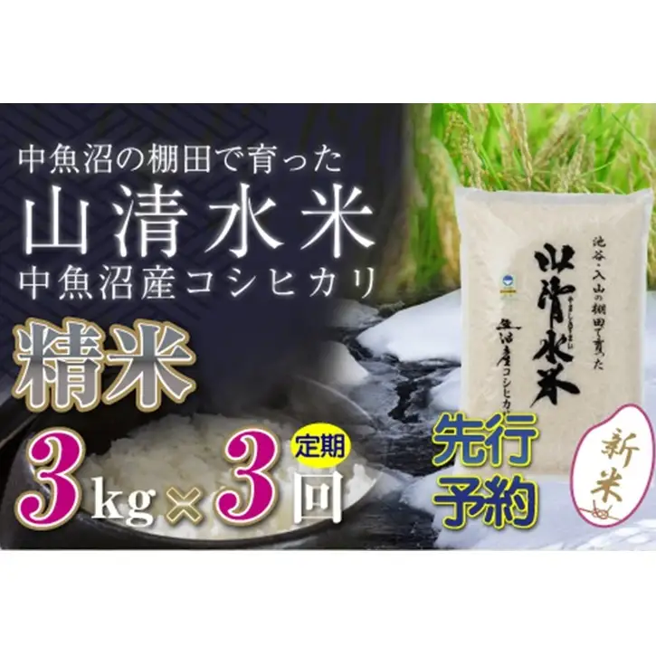 【令和8年産 先行予約】【定期便／全3回】精米3kg 新潟県魚沼産コシヒカリ「山清水米」 お米