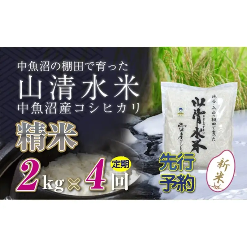 【令和8年産 先行予約】【定期便／全4回】精米2kg 新潟県魚沼産コシヒカリ「山清水米」 お米