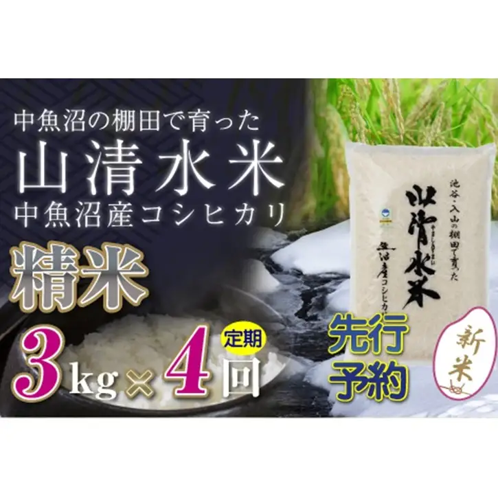 【令和8年産 先行予約】【定期便／全4回】精米3kg 新潟県魚沼産コシヒカリ「山清水米」 お米