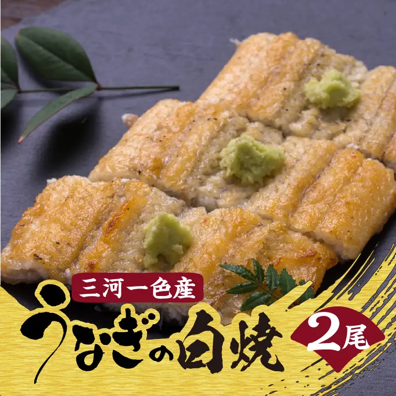 【土用の丑の日までにお届け】三河一色産うなぎの白焼２尾_47-321-1-d