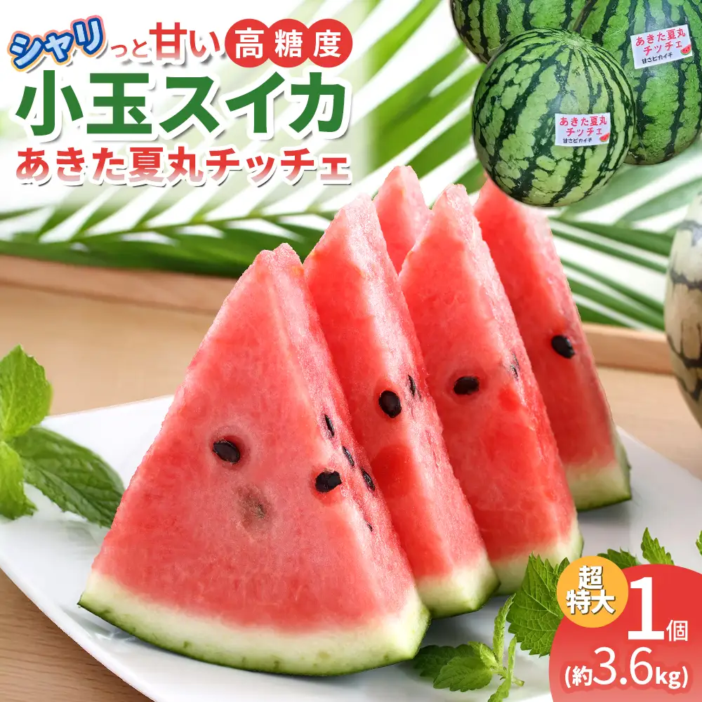 シャリっと甘い小玉スイカ！あきた夏丸チッチェ＜超特大1個＞　90P3404