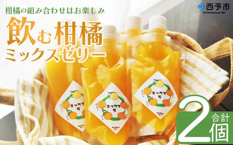 ＜つるんと食感の飲む柑橘ミックスゼリー 2個＞『1か月以内に順次発送予定』果物ゼリー くだもの ゼリー パウチ みかん 蜜柑 デザート スイーツ おやつ のむ ストレート 果汁 100％ 食感 ぷるぷる お楽しみ 渡江から一歩を踏み出す会 愛媛県 西予市 【常温】ATI0054