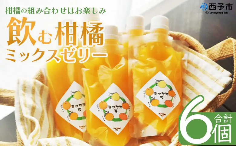 ＜つるんと食感の飲む柑橘ミックスゼリー 6個＞『1か月以内に順次発送予定』果物ゼリー くだもの ゼリー パウチ みかん 蜜柑 デザート スイーツ おやつ のむ ストレート 果汁 100％ 食感 ぷるぷる お楽しみ 渡江から一歩を踏み出す会 愛媛県 西予市 【常温】ATI0052