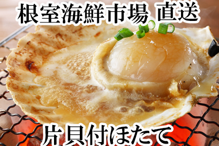 ＼漁業者応援品／片貝ほたて10枚×2P A-11121