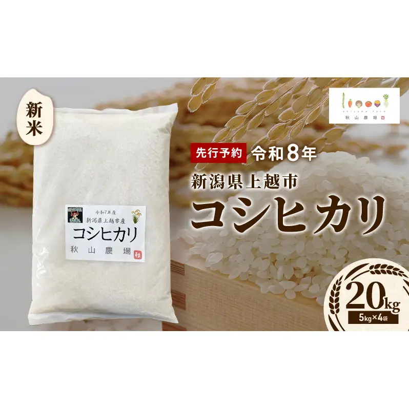 先行予約 令和8年 新米 新潟県上越市産 コシヒカリ 20kg(5kg×4袋) お米 コメ こしひかり 秋山農場グリーンプロジェクト