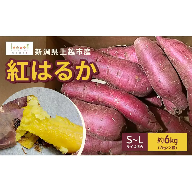 新潟県上越市産 紅はるか サツマイモ さつまいも S-Lサイズ混合 約6kg（2kg×3箱） 秋山農場グリーンプロジェクト