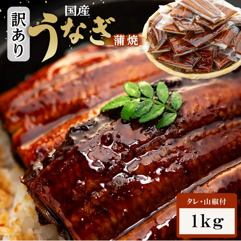 丑の日までにお届け 訳あり 国産 うなぎ 1食 パック 合計1kg 山椒 付き タレ 30個 付 数量限定