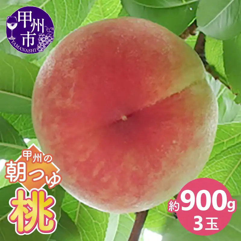 甲州の朝つゆ桃お試し 約900g（3玉）【2026年発送】（KKK）A06-830 桃 フルーツ