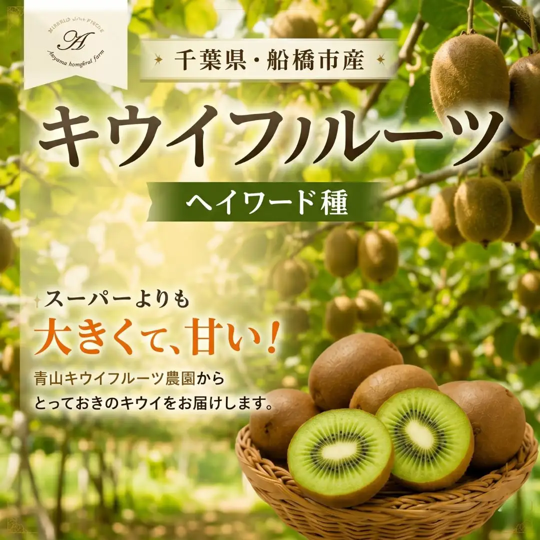 キウイフルーツ ヘイワード 大サイズ 14玉 約2kg 追熟処理済み 化粧袋付き 1月発送分