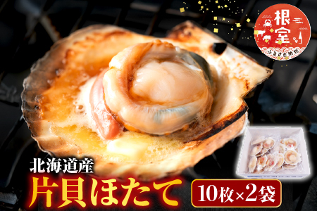 ＼漁業者応援品／片貝ほたて10枚×2P A-14134