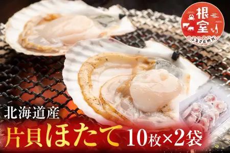 ＼漁業者応援品／根室海鮮市場[直送]片貝ほたて10枚×2P A-28124