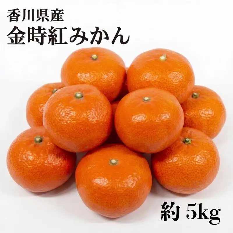 【11月中旬~12月下旬の間で順次発送予定】金時紅みかん 約5kg